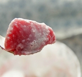 Подавайте со взбитыми сливками. Приятного аппетита!	