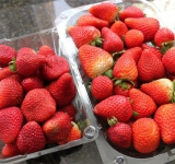 Клубнику моем под проточной водой.