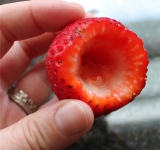 Аккуратно делаем углубление в ягоде.