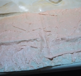 Намажьте лаваш получившимся соусом.	