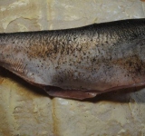 На лаваш, в центр выкладываем тушку рыбы.