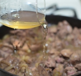 Затем заливаем вино, солим, перчим и добавляем щепотку мускатного ореха. Тушим блюдо 5 минут.