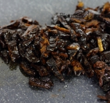 Корж который был на дне возвращаем на дно формы. Чернослив отжимаем, обсушиваем и измельчаем. Орехи перемалываем при помощи блендера.