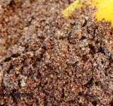 Когда мак остыл, растираем его в блендере. Мак должен приобрести седой оттенок.