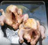 Выложите курицу на противень. Полейте растопленным сливочным маслом, посолите и поперчите. Поставьте в духовку и готовьте до готовности (около 20 минут).	